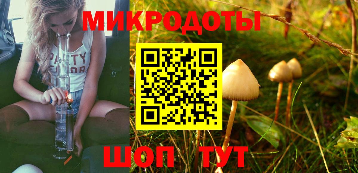 закладка  Вход с VPN  Псилоцибиновые грибы GOLDEN TEACHER  Шали  Псилоцибиновые грибы мухоморы 